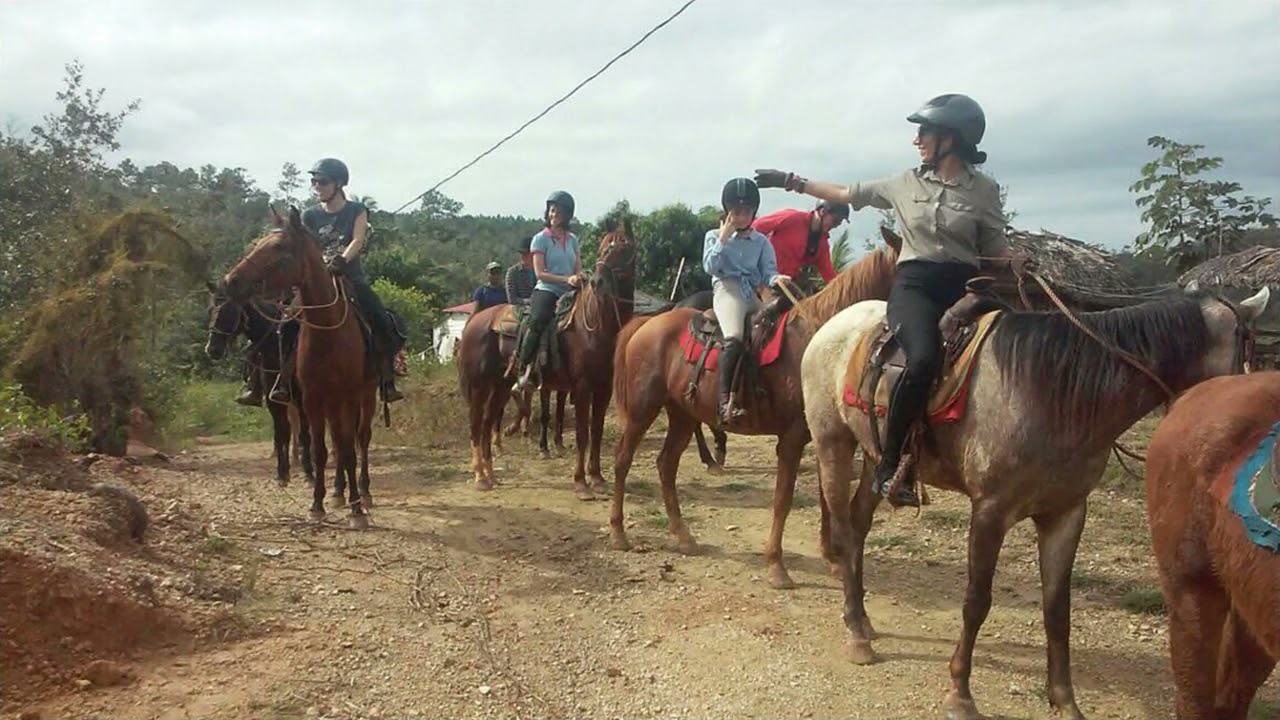 Caballos del Valle, Calle Salvador Cisnero Interior Viñales, Cuba