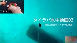 タイラバ水中動画02 ～タイラバは海底側からどう見えているのか？編～