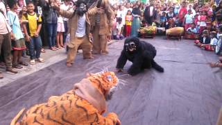 Pencak Macan