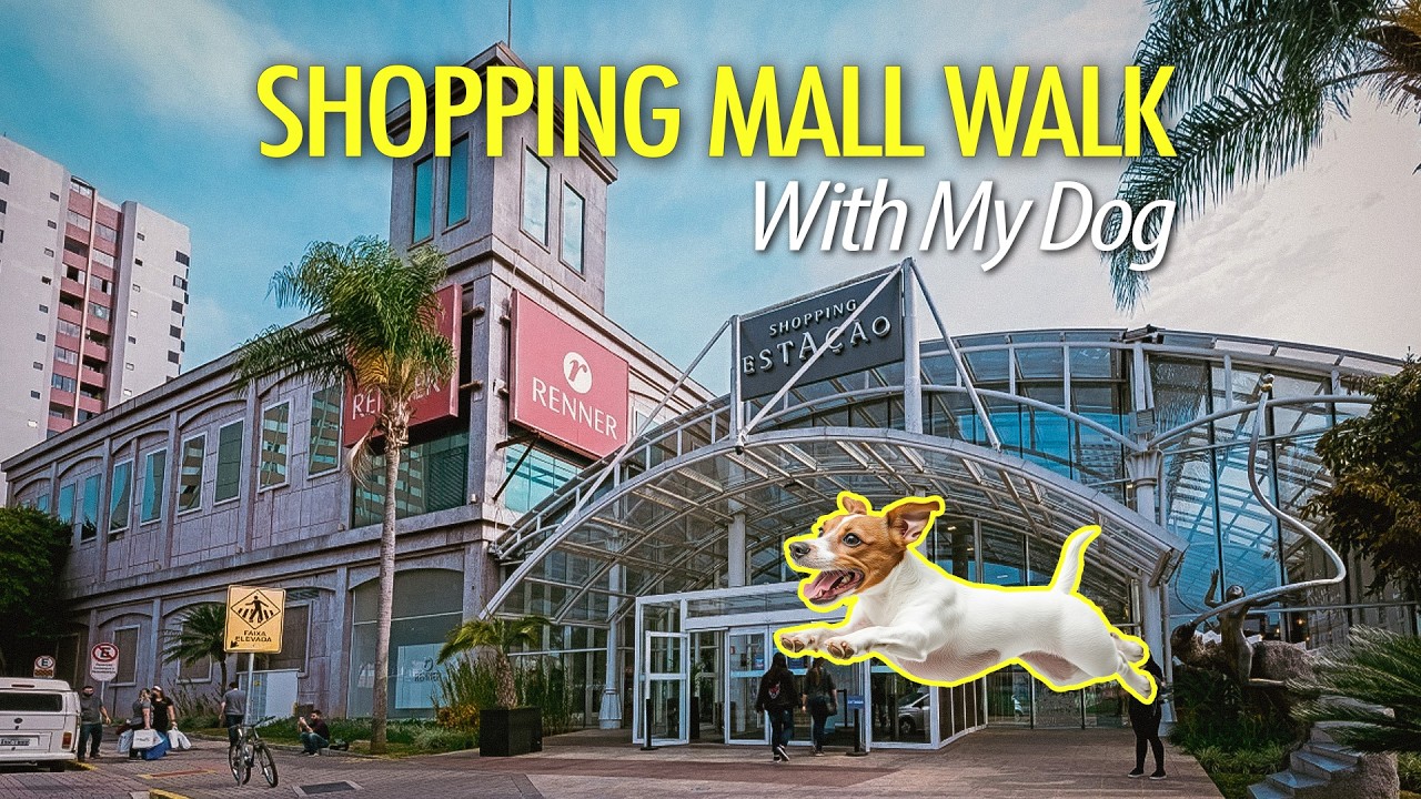 Mall Walk with Bonnie the Jack Russell 🐾 | Estação Shopping Curitiba 🇧🇷