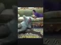 مقالب صواريخ ضحك السنين 
