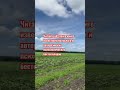 Как стать счастливым
