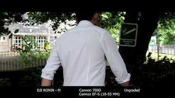 DJI Ronin - M ( light field test)