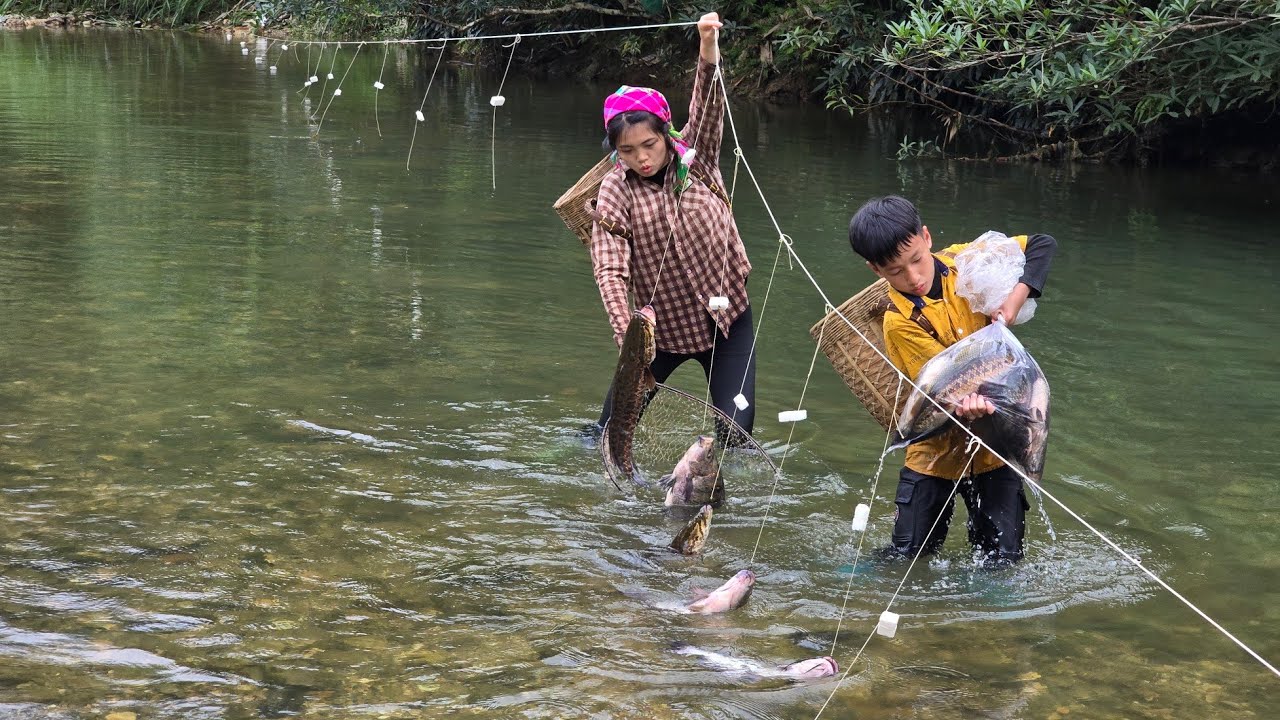 Trapping fish with earthworms, fishing using ancient methods, harvesting stream fish for sale.