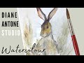 How to Paint a Watercolor Hare - Easy Beginners Real Time Step by Step Painting Art Tutorial