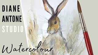 How to Paint a Watercolor Hare  Easy Beginners Real Time Step by Step Painting Art Tutorial