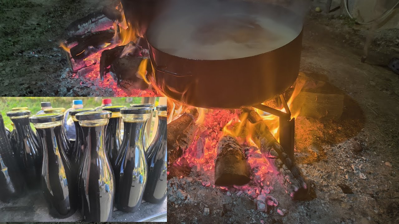 BLAGO BOSANSKIH BRDA- LJEKOVIT I UČINKOVIT-Slatki i kiseli pekmez 💪