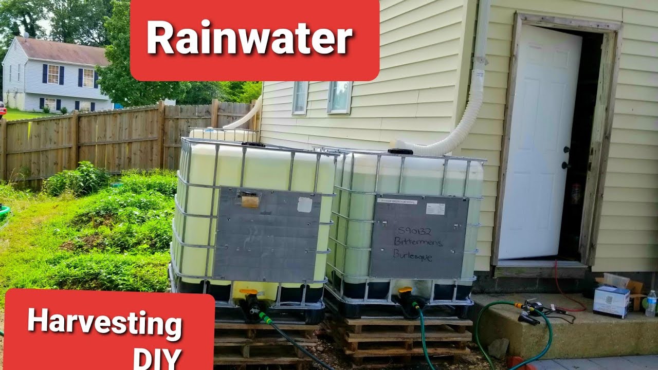 Rainwater Collection System Rainwater Harvesting Using IBC Totes For rainwater-collection-system-rainwater-harvesting-using-ibc-totes-for