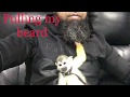 Monkey pulling my Beard . Chico the monkey