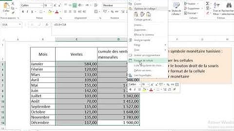 Ajouter le symbole monétaire dans Excel.
