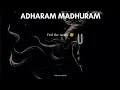 Adharam Madhuram Ringtone Krishna Ringtone Music Adharammadhuram Sri Krishna Bhakta Adharam Madhuram Ringtone Krishna Ringtone Music Adharammadhuram Sri Krishna Bhakta