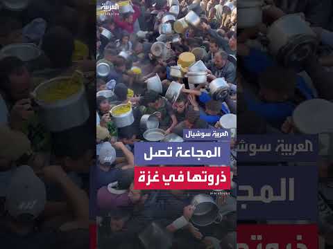 تدافع على الطعام في غزة: مشاهد مؤلمة