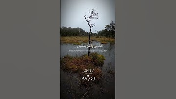 قران كريم ارح قلبك وسمعك #قران_في_دقيقة #المصحف #quran #قران @قران_في_دقيقة