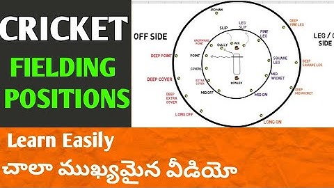 Main Fielding Positions || Easy to Remember || Very Important || Telugu