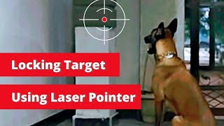 Using laser pointer and sending K9 to the target