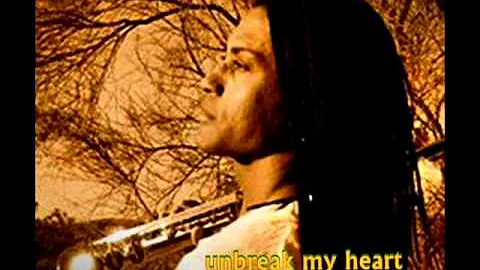 Marion Meadows  -  Unbreak My Heart