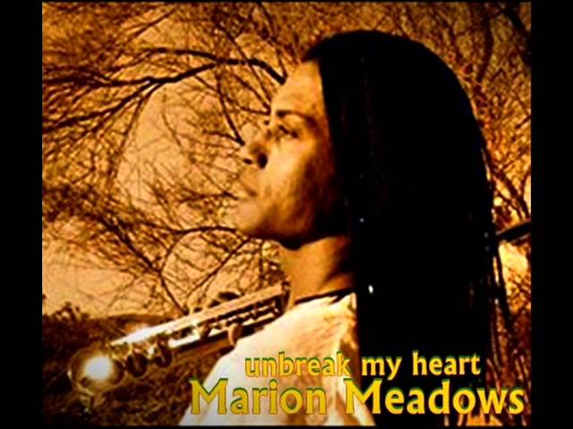 MARION MEADOWS - UNBREAK MY HEART