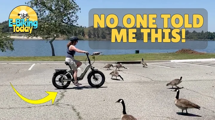 Ten Things I Wish I Knew Before Riding My First E-Bike (New Riders)!