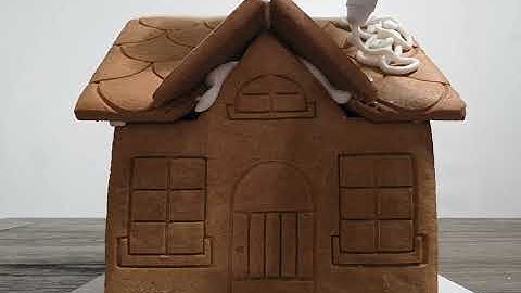 Assignment 8: Video Vignette