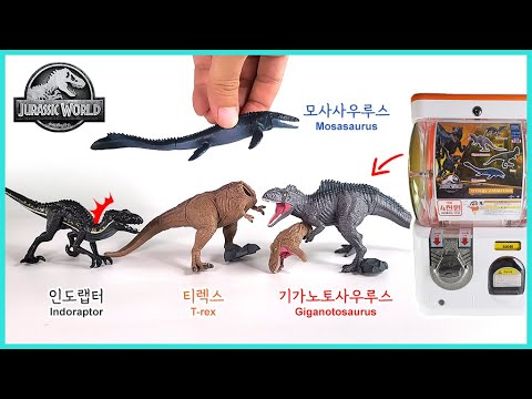 기가노토사우루스 캡슐뽑기로 나옴ㅋ <strong>쥬라기월드</strong> <strong>티렉스</strong> 모사사우루스 인도랩터 미니피규어 리뷰