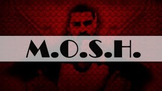 The Mosh - Pierdut