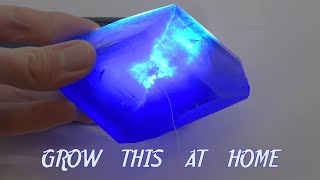 Growing Copper sulfate giant crystal at home! Grow crystals chemical experiment (4K)