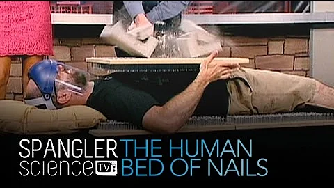 Human Bed of Nails - Cool Science Experiment
