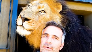 The Real LION KING Having FUN | The Lion Whisperer by The Lion Whisperer 159,982 views 5 months ago 12 minutes, 26 seconds