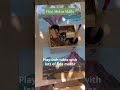 Exploring Dinosaurs | Playful Learning