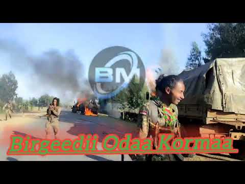 Injifannoo WBO Zoonii Giddu Galeessa Godina Salaalee Birgeedii Odaa Korma Tin