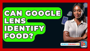 Can Google Lens Identify Food? - SearchEnginesHub.com