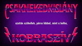 Csaknekedkislány - Hülye