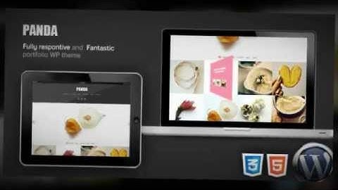 Panda Responsive Portfolio / Magazine WP theme + Download