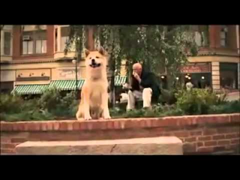 hachiko--hachi--a-dog's-story.-♪-♡---right-here-waiting-for-you.-(╥﹏╥)