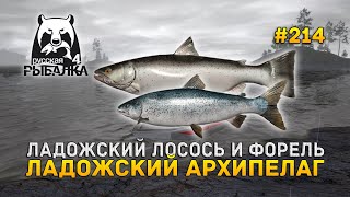 Ладожский лосось и Форель. Ладожский Архипелаг - Русская Рыбалка 4 #214
