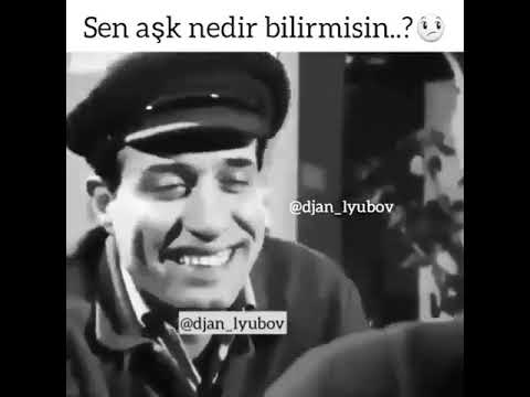 Şaban, sen aşk nedir bilirmisin