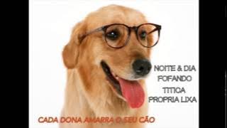 Divas do Kuduro- Cada dona amarra o seu cão