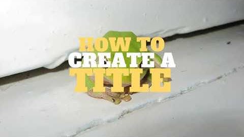We Video: How to Add a Title and Text