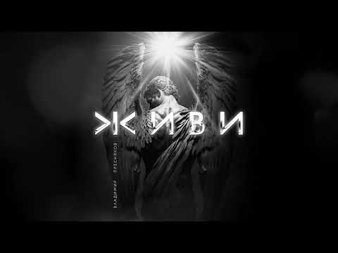 Владимир Пресняков (Мл.) - Живи (official audio)