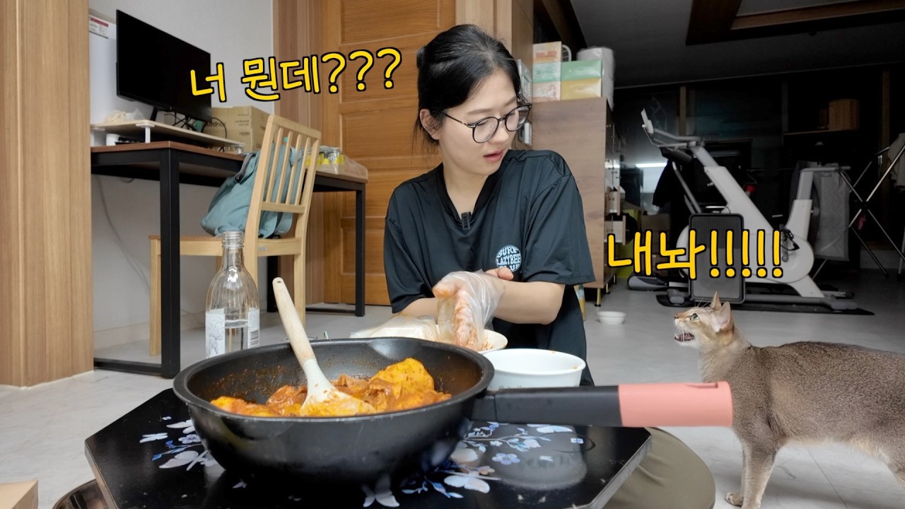 엽기 닭도리탕 만들어서 소주 마시는데 고양이가 옆에서 자꾸 참견을 하네요ㅠ