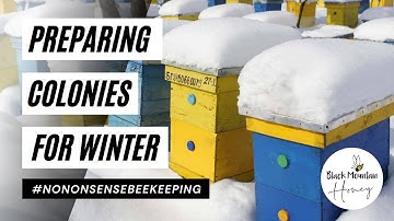 Preparing Colonies for Winter