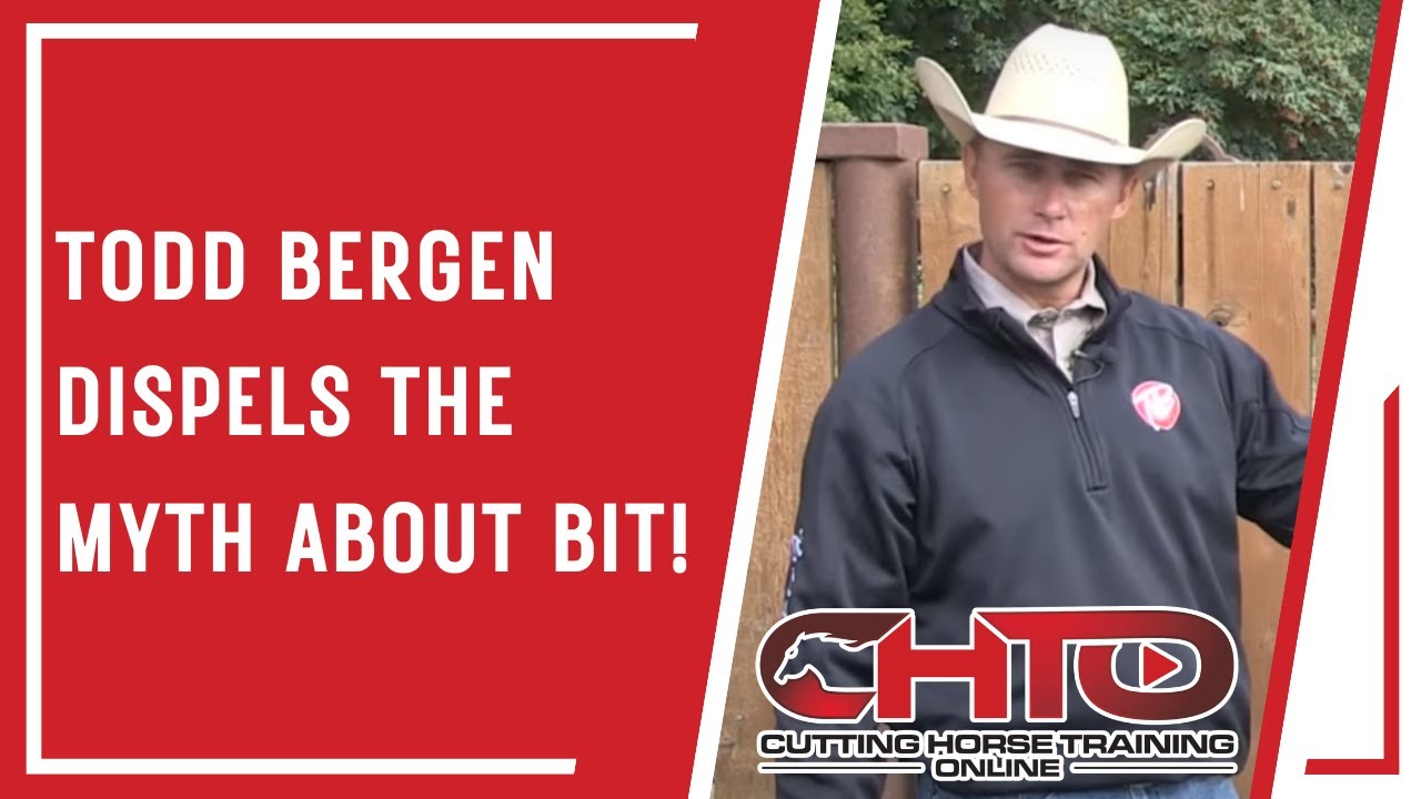 Тодд Берген развеивает миф о Bit!