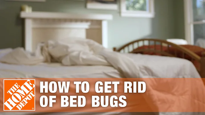 How to Get Rid of Bed Bugs | DIY Pest Control | The Home Depot - DayDayNews