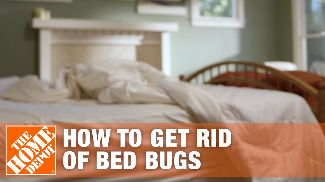 How To Get Rid Of Bed Bugs | Diy Pest Control | The Home Depot