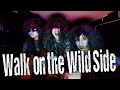 「Walk on the Wild Side」MV/ 首振りDolls『DOLL! DOLL! DOLL!』
