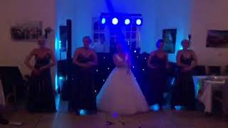 Bridesmaids Dance - Spice Girls, Wannabe - Mr & Mrs D