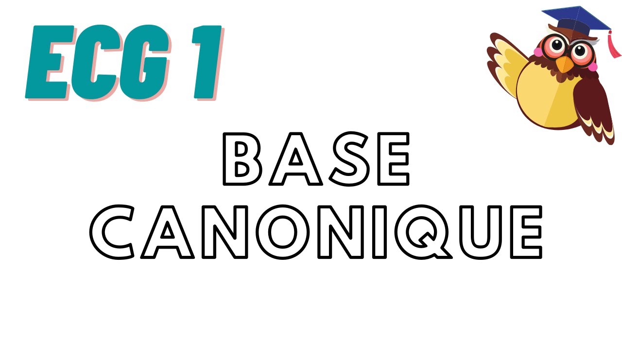 EV de dim finie : cours 3 : Base canonique d'un espace vectoriel