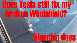 Does Tesla still fix broken Windshields?