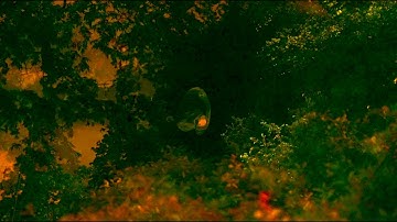 Huttner/Nordmark - EEG influenced graphics