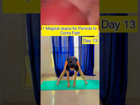 Day 13 Magical